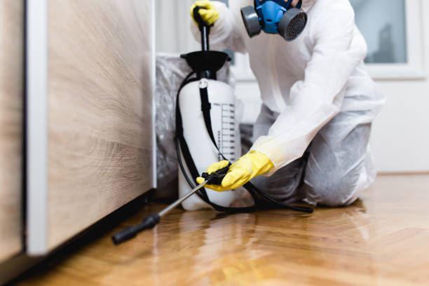 Best Termite Control Services  in Westminster, TX