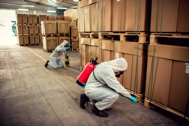 Best Affordable Pest Control Services  in Westminster, TX