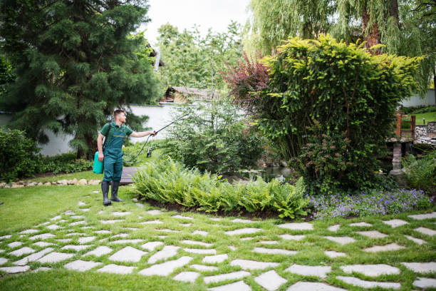 Professional Pest Control in Westminster, TX