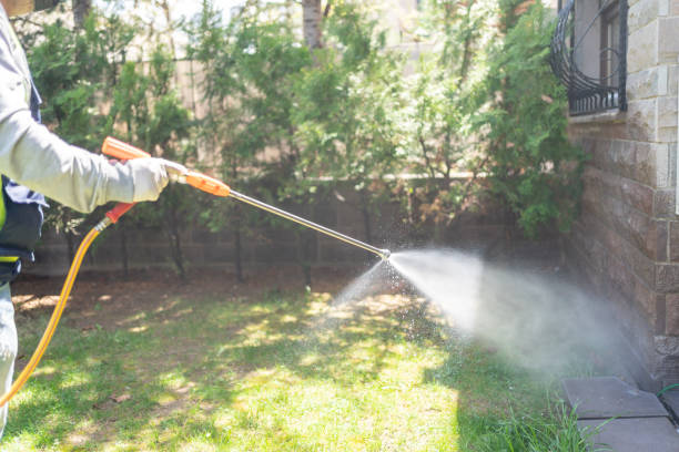 Best Best Pest Control Companies  in Westminster, TX