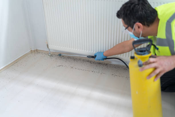 Best Emergency Pest Control  in Westminster, TX
